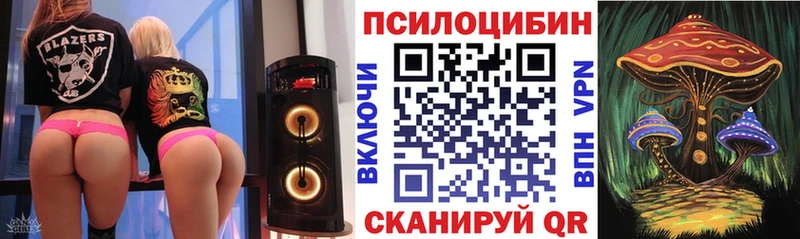 дарнет шоп  Белоусово  Псилоцибиновые грибы прущие грибы 